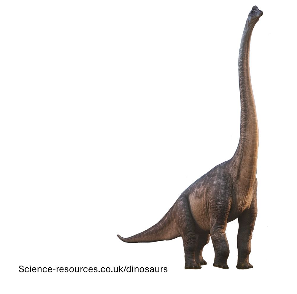 Brachiosaurus image