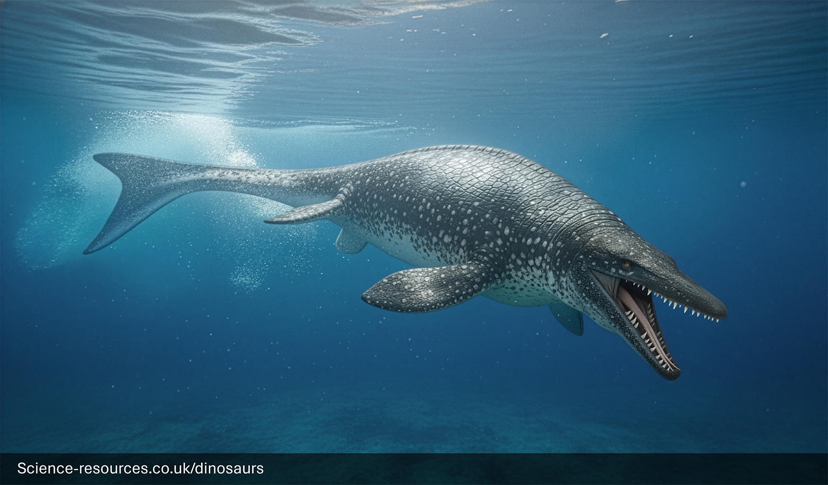 A realistic depiction of an Mosasaurus swimming in a prehistoric ocean.
