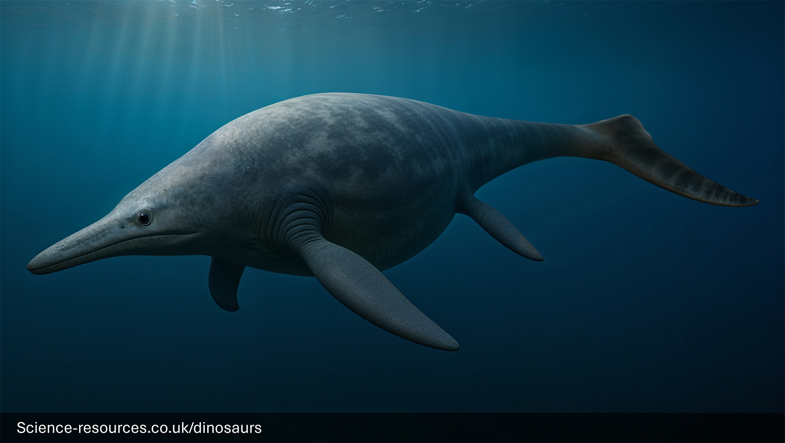 A photorealistic computer-generated image of a prehistoric marine reptile, a Shonisaurus, swimming in a prehistoric ocean. The creature has a sleek, dolphin-like body with a prominent dorsal fin, large tail fluke, and a long, narrow snout. Its skin is patterned with dark grey stripes over a lighter grey base. Bright rays of sunlight penetrate the water from the surface above.