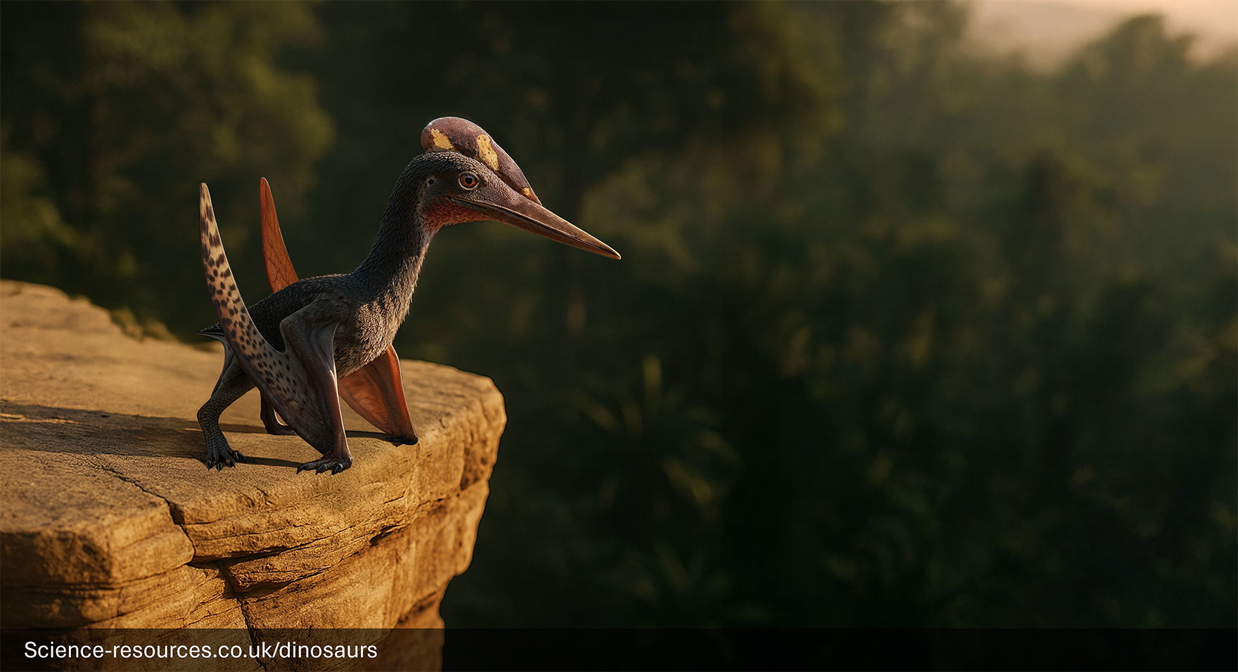 A photorealistic computer-generated image of a Pterodactylus perched on the edge of a sunlit, rocky cliff face. The small, dark-bodied flying reptile has a long, pointed beak, large eyes, and a small, distinctive yellow and purple cranial crest. It is looking out over a vast, hazy, and dense green prehistoric jungle or forest that fills the background.
