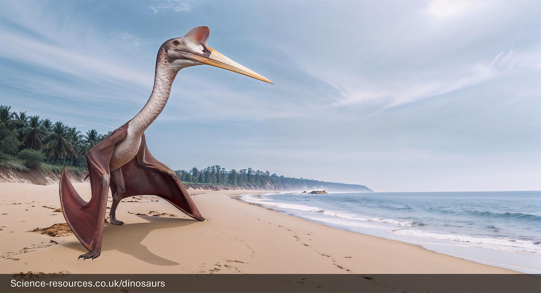 A photorealistic computer-generated image of a massive Quetzalcoatlus, one of the largest flying animals, standing on a sandy tropical beach. The pterosaur has an extremely long, white neck, a long yellow beak, and a red-tipped cranial crest. Its large, reddish-brown membranous wings are folded. The background shows a calm ocean, gentle waves, and a line of dense palm trees along the distant coast under a bright, partly cloudy sky.